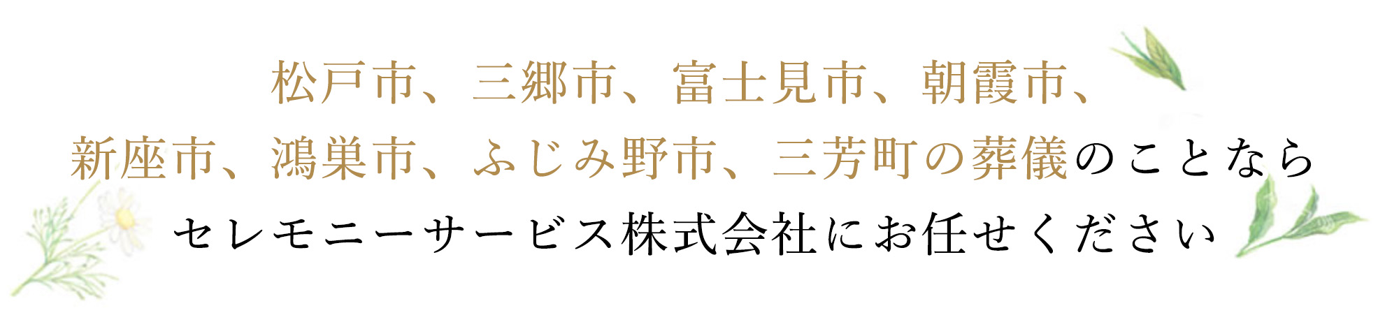 松戸市、三郷市、富士見市、朝霧市、新座市、鴻巣市、ふじみの市、三芳町の葬儀のことならサレもニーサービス株式会社にお任せください